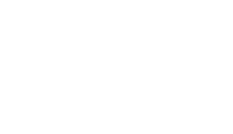 Ringanker Profi-Logo